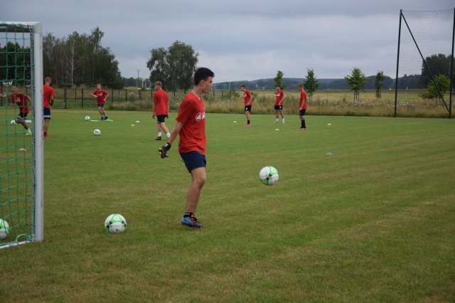 warta 29